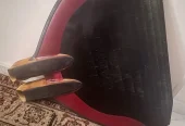 روكيت فين