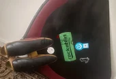 روكيت فين